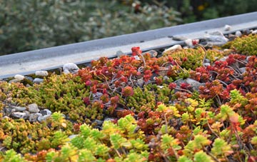 the cost of Great Barrington green roof installation