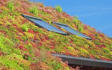 Great Barrington living roof systems